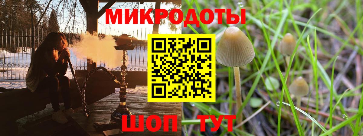 Псилоцибиновые грибы Cubensis Чернушка
